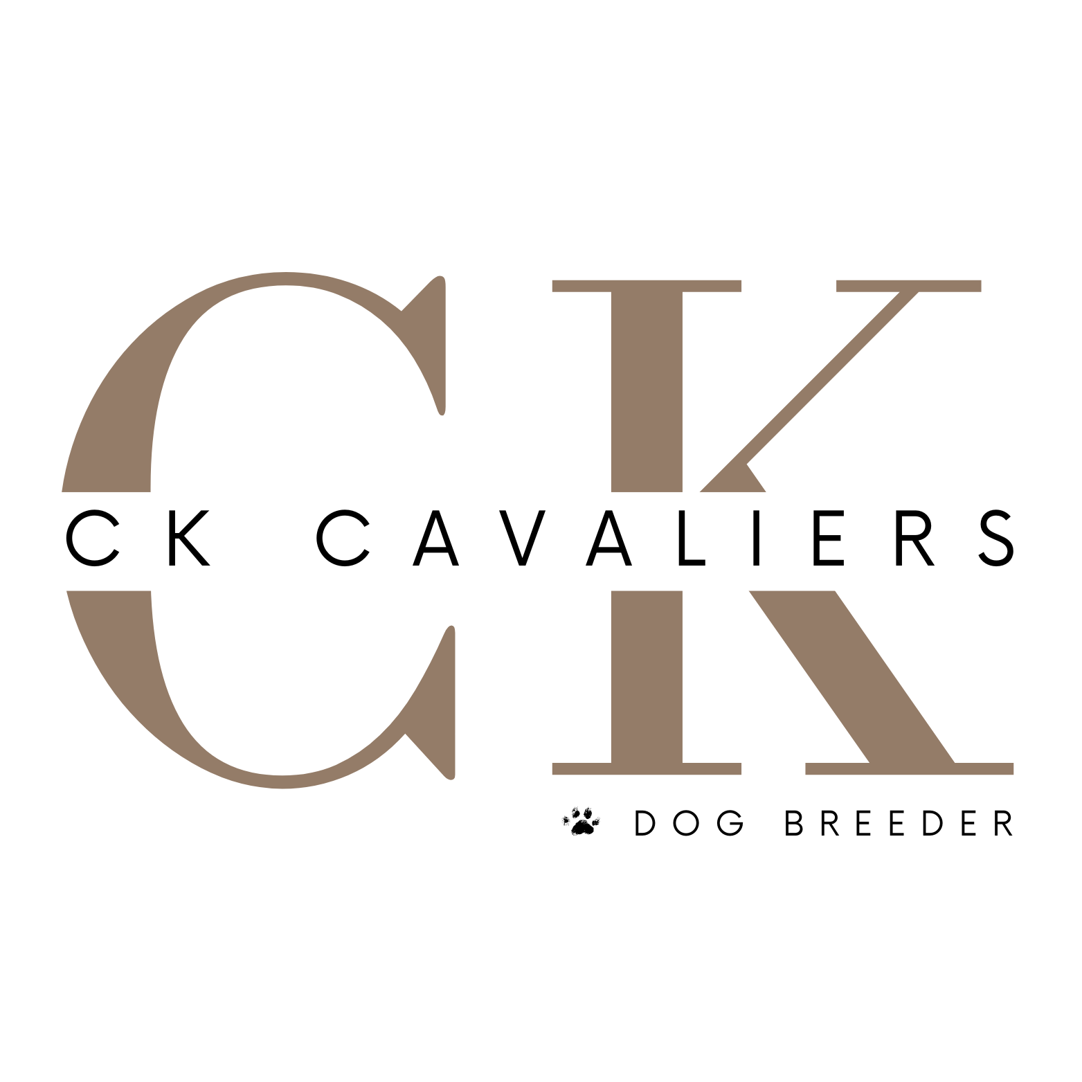 CK CAVALIERS LLC